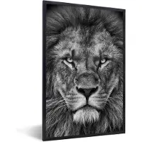 PosterMonkey Fotolijst incl. Poster - Dieren - Leeuw - Zwart - Wit - Portret - 40x60 cm - Posterlijst