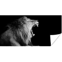 PosterMonkey Poster Leeuw - Wilde dieren - Gras - Zwart - Wit - 40x20 cm