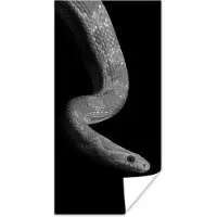 PosterMonkey Poster Dieren - Slang - Zwart - Wit - Portret - 60x120 cm