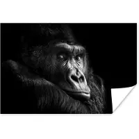 PosterMonkey Poster Gorilla - Aap - Zwart - Wit - Portret - 30x20 cm