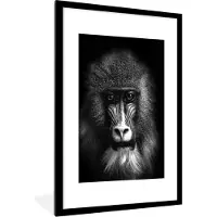 PosterMonkey Fotolijst incl. Poster Zwart Wit- Aap - Dieren - Ogen - Bruin - Zwart wit - 60x90 cm - Posterlijst