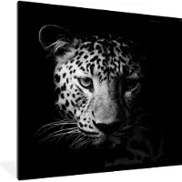 PosterMonkey Fotolijst incl. Poster Zwart Wit- Panter - Wilde dieren - Zwart wit - Dieren - 40x40 cm - Posterlijst