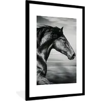 PosterMonkey Fotolijst incl. Poster - Paard - Dieren - zwart - Wit - 60x90 cm - Posterlijst