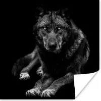 PosterMonkey Poster Dieren - Wolf - Zwart - Wit - Portret - 30x30 cm