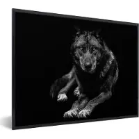 PosterMonkey Fotolijst incl. Poster - Dieren - Wolf - Zwart - Wit - Portret - 40x30 cm - Posterlijst