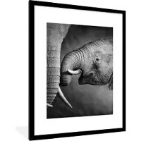 PosterMonkey Fotolijst incl. Poster - Wilde dieren - Olifant - Zwart - Wit - Portret - 60x80 cm - Posterlijst