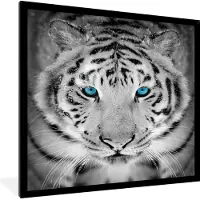 PosterMonkey Fotolijst incl. Poster Zwart Wit- Dieren - Tijger - Ogen - Blauw - Zwart wit - 40x40 cm - Posterlijst