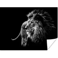 PosterMonkey Poster Dieren - Wild - Leeuw - Zwart - Wit - 120x90 cm