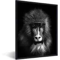 PosterMonkey Fotolijst incl. Poster Zwart Wit- Aap - Dieren - Ogen - Bruin - Zwart wit - 60x80 cm - Posterlijst