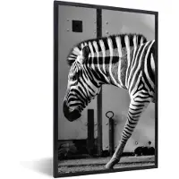PosterMonkey Fotolijst incl. Poster Zwart Wit- Zebra - Muur - Deur - Dieren - Zwart wit - 80x120 cm - Posterlijst