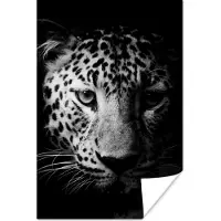 PosterMonkey Poster Panter - Wilde dieren - Zwart wit - Dieren - 40x60 cm