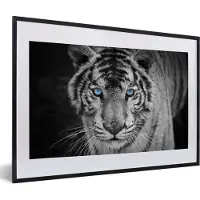 PosterMonkey Fotolijst incl. Poster Zwart Wit- Dieren - Tijger - Zwart wit - Ogen - Blauw - 60x40 cm - Posterlijst