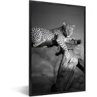 PosterMonkey Fotolijst incl. Poster - Panter - Boom - Dieren - Zwart - Wit - 40x60 cm - Posterlijst