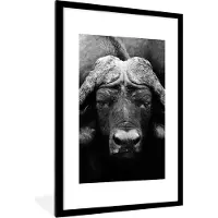 PosterMonkey Fotolijst incl. Poster - Dieren - Buffalo - Zwart - Wit - Portret - 60x90 cm - Posterlijst