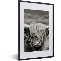PosterMonkey Fotolijst incl. Poster Zwart Wit- Schotse hooglander - Koe - Dieren - Zwart wit - Landelijk - 40x60 cm - Posterlijst