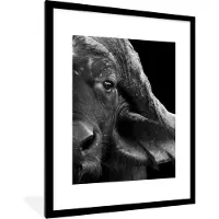 PosterMonkey Fotolijst incl. Poster - Buffalo - Dieren - Zwart - Wit - 60x80 cm - Posterlijst
