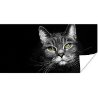 PosterMonkey Poster Huisdieren - Kat - Dieren - Zwart - Wit - 40x20 cm