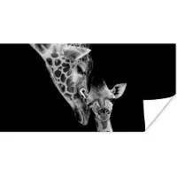 PosterMonkey Poster Portret - Giraffe - Dieren - Zwart - Wit - 40x20 cm
