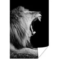 PosterMonkey Poster Leeuw - Wilde dieren - Gras - Zwart - Wit - 20x30 cm