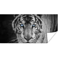 PosterMonkey Poster Dieren - Tijger - Zwart wit - Ogen - Blauw - 150x75 cm