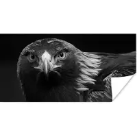 PosterMonkey Poster Buizerd - Vogel - Dieren - Zwart - Wit - 40x20 cm