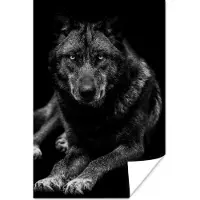 PosterMonkey Poster Dieren - Wolf - Zwart - Wit - Portret - 60x90 cm