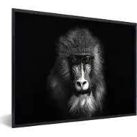 PosterMonkey Fotolijst incl. Poster Zwart Wit- Aap - Dieren - Ogen - Bruin - Zwart wit - 40x30 cm - Posterlijst