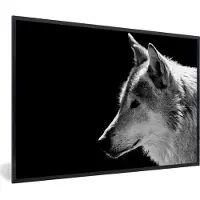 PosterMonkey Fotolijst incl. Poster - Wilde dieren - Wolf - Zwart - Wit - 60x40 cm - Posterlijst