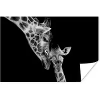 PosterMonkey Poster Portret - Giraffe - Dieren - Zwart - Wit - 30x20 cm