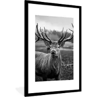 PosterMonkey Fotolijst incl. Poster Zwart Wit- Dieren - Hert - Gewei - Zwart wit - Natuur - 60x90 cm - Posterlijst