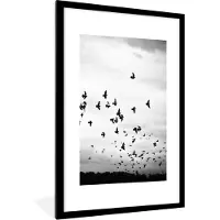 PosterMonkey Fotolijst incl. Poster - Dieren - Vogels - Wolken - Zwart - Wit - 60x90 cm - Posterlijst