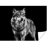 PosterMonkey Poster Wolf - Dieren - Wild - Zwart - Wit - 80x60 cm