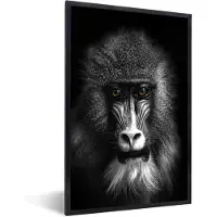 PosterMonkey Fotolijst incl. Poster Zwart Wit- Aap - Dieren - Ogen - Bruin - Zwart wit - 40x60 cm - Posterlijst