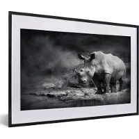 PosterMonkey Fotolijst incl. Poster - Neushoorn - Natuur - Gras - Zwart - Wit - 60x40 cm - Posterlijst