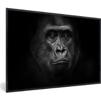 PosterMonkey Fotolijst incl. Poster - Gorilla - Zwart - Wit - Dieren - Portret - 30x20 cm - Posterlijst