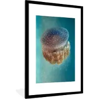 PosterMonkey Fotolijst incl. Poster - Jellyfish - Phylorhiza punctata - 80x120 cm - Posterlijst