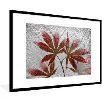 PosterMonkey Fotolijst - Bladeren - Rood - IJs - Wanddecoratie - 120x80 cm - Poster