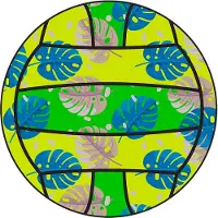 Vittali Pacific volleybal