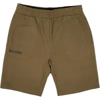 Spalding Flow Shorts Groen M Man