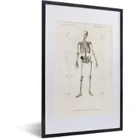 PosterMonkey Fotolijst incl. Poster - Skelet - Vintage - Botten - 40x60 cm - Posterlijst