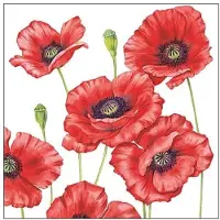 Ambiente Klaprozen/poppy bloemen - 60x stuks - 33 x 33 cm - 3-laags - Feestservetten
