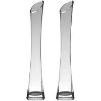 Merkloos Set van 2x stuks glazen flutes rode roos/rozen smalle vaas 24 x 7 cm - Vazen