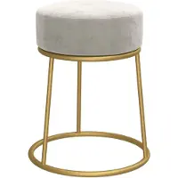 vidaXL Hocker rond fluweel lichtgrijs