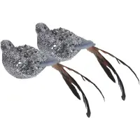Merkloos Kerstboomversiering kersthangers 2x zilveren vogels op clip 25 cm - Kersthangers