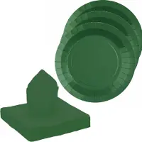 SANTEX servies set karton - 20x bordjes/25x servetten - donkergroen - Feestbordjes