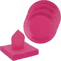 SANTEX servies set karton - 20x bordjes/25x servetten - fuchsia roze - Feestbordjes