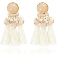 Deja Jewels Tassel Oorbellen met Elegante Steen van - Wit