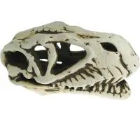 Aquanova Aquarium Decoratie Dinosaurus Schedel