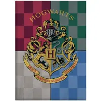VideogamesNL Harry Potter fleecedeken Hogwarts junior 110 x 140 cm