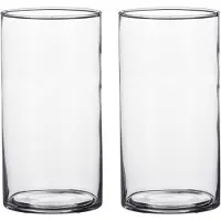 Mica Decorations Set van 2x stuks cilinder bloemenvaas/bloemenvazen 9 x 15 cm transparant glas - Vazen